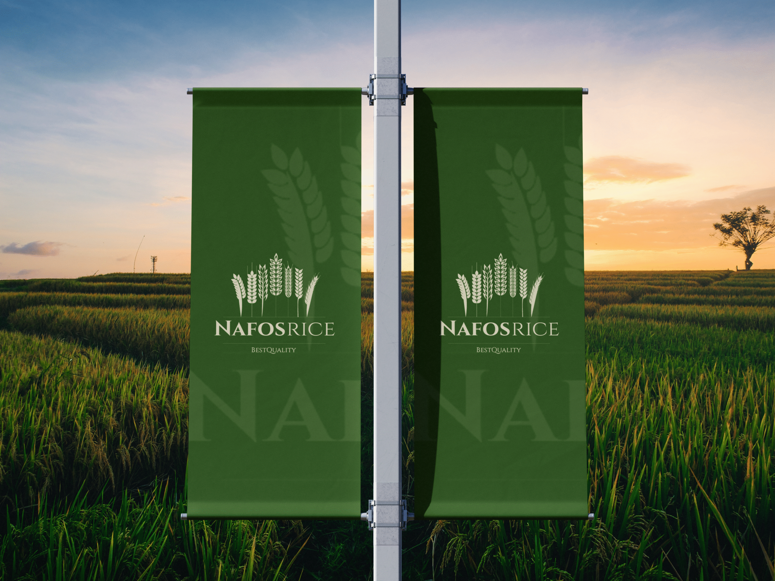 Tasty Long-Grain White Rice